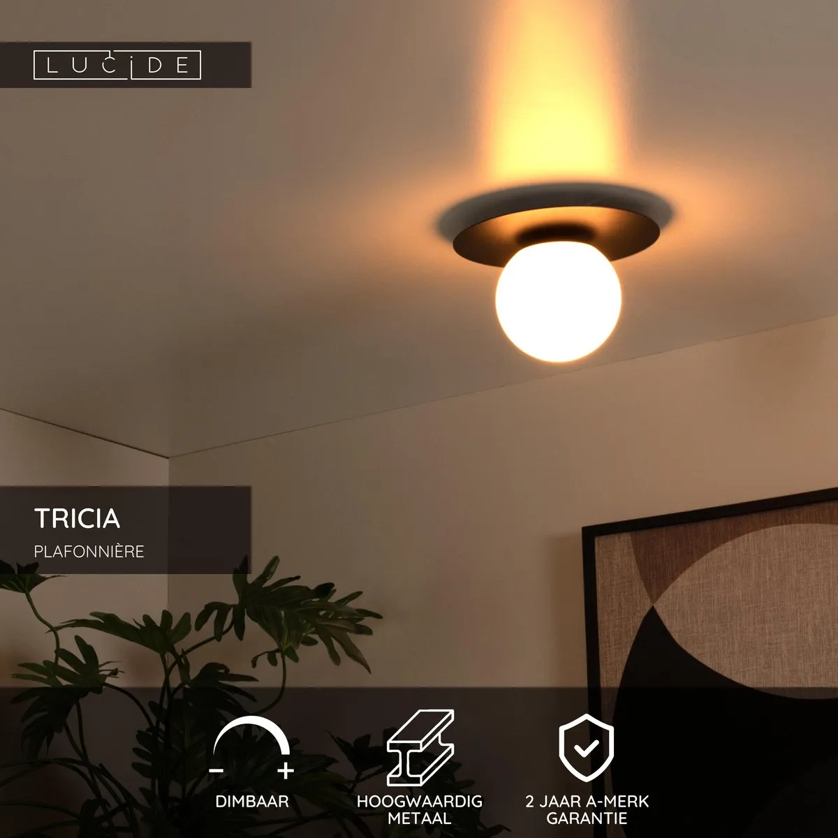 Lucide Tricia Plafondlamp Ø25cm - 1xE27 - Zwart