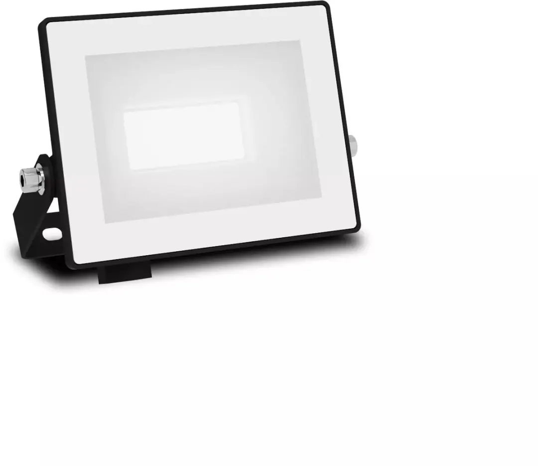 Philips Lois Floodlight 10W - Koel wit 5000K - Zwart