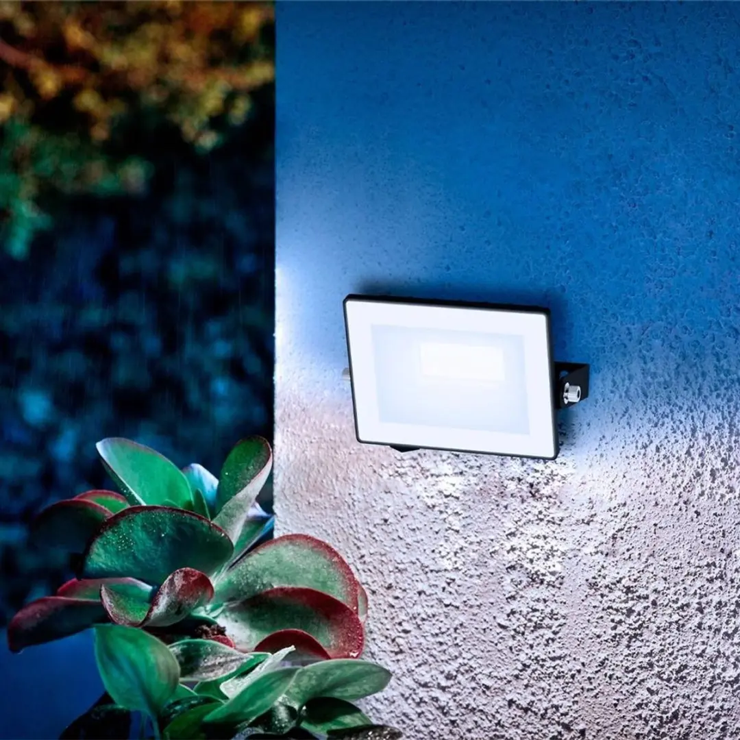 Philips Lois Floodlight 10W - Koel wit 5000K - Zwart - afbeelding 6 van 6