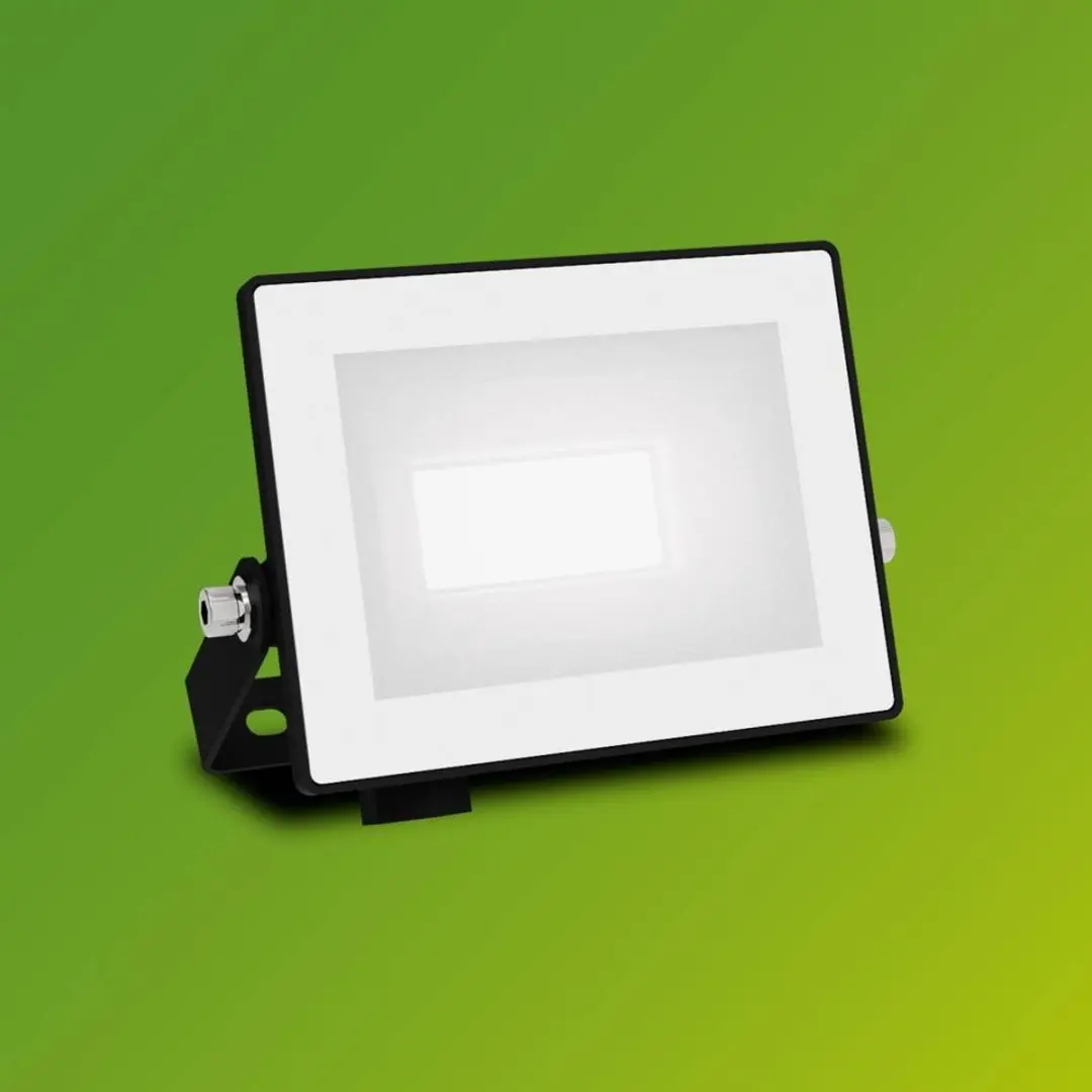 Philips Lois Floodlight 10W - Koel wit 5000K - Zwart
