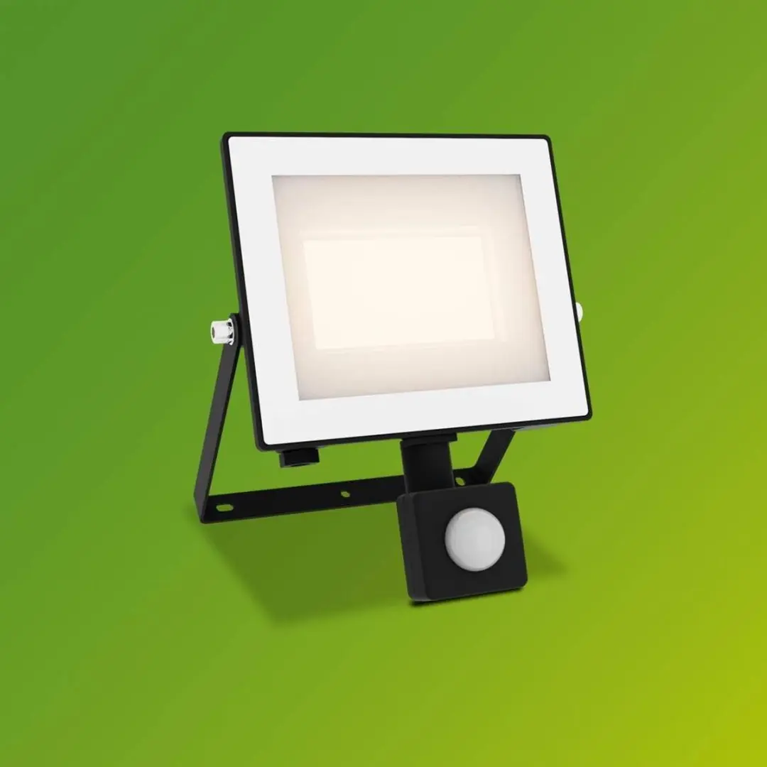 Philips Lois Floodlight 30W - Zwart - 3000K - Bewegingssensor