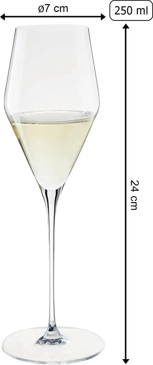 Spiegelau Champagnergläser Set 6 Stuks - 250ml
