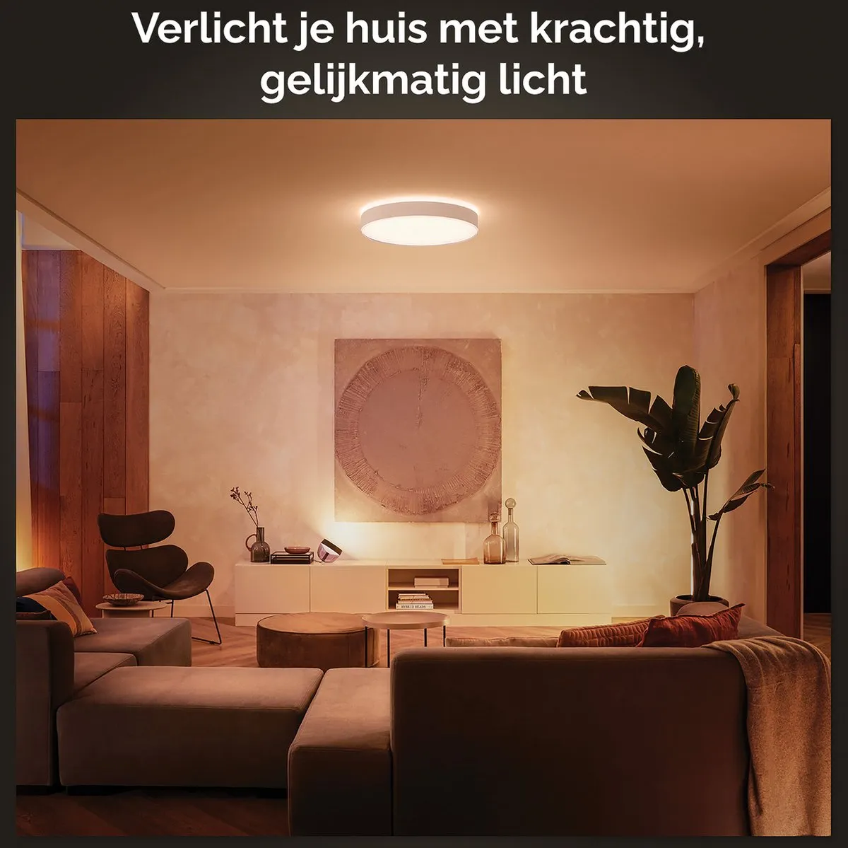 Philips Hue Enrave Plafondlamp 42cm - Wit