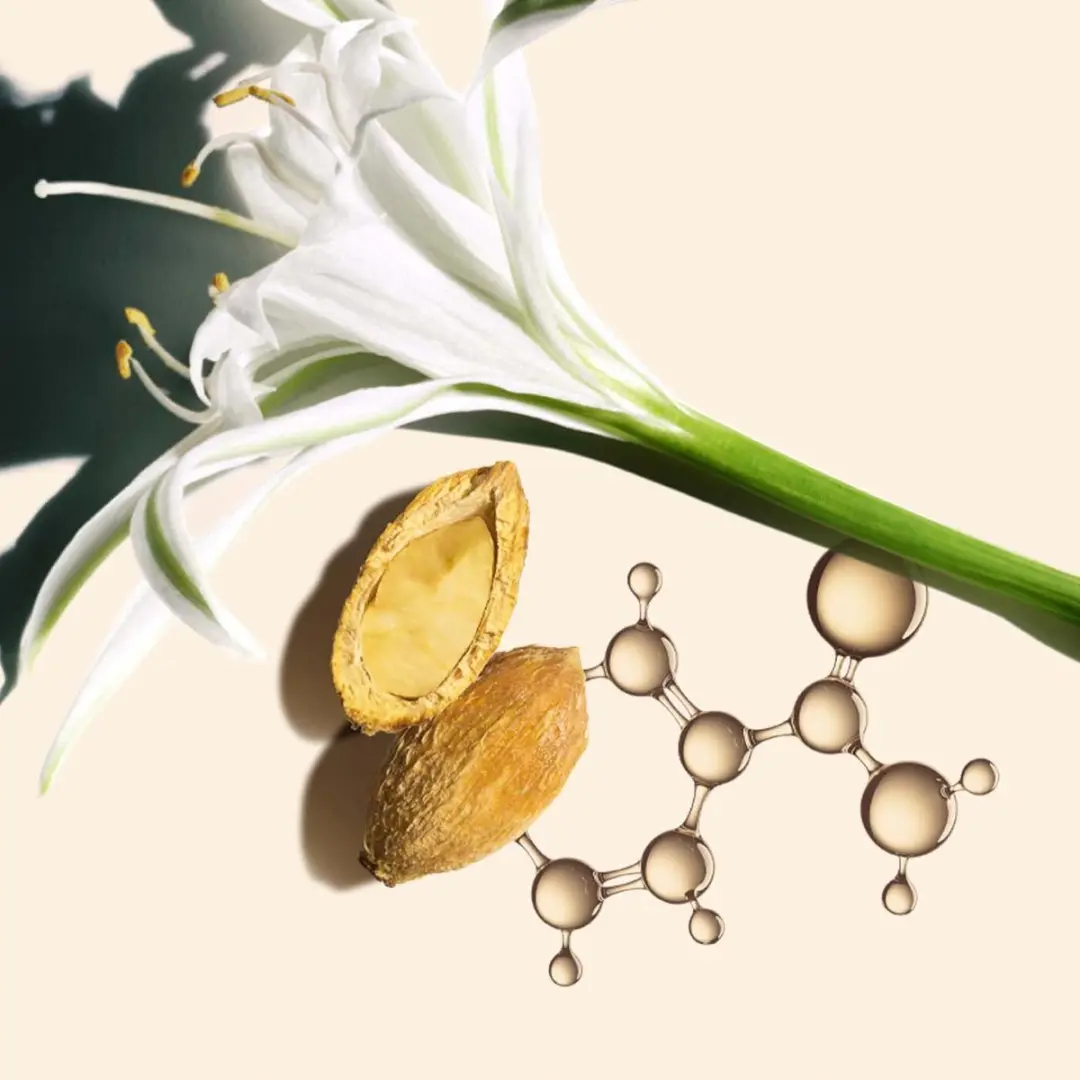 Clarins Nutri-Lumière Dagcrème SPF15 50ml
