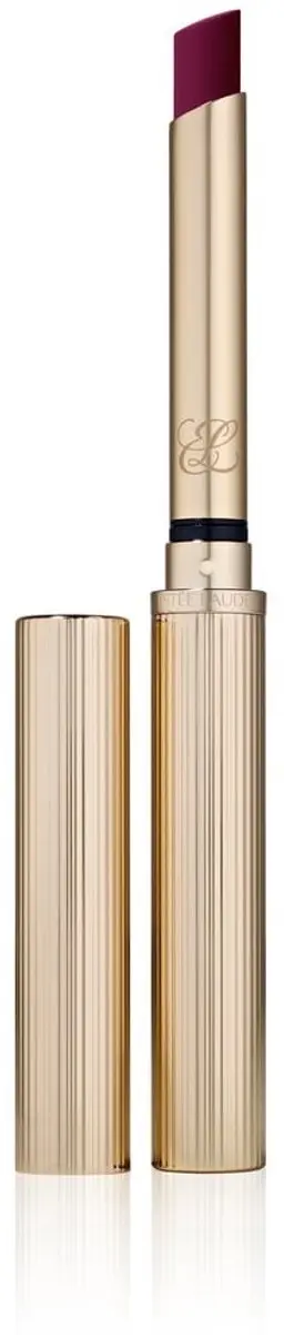 Estée Lauder Pure Color Explicit Matte Lipstick 211 Night Moves