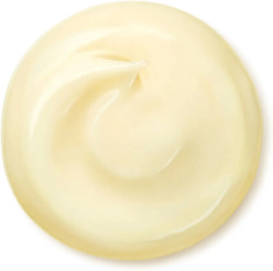 Shiseido Benefiance Wrinkle Smoothing Cream 30ml