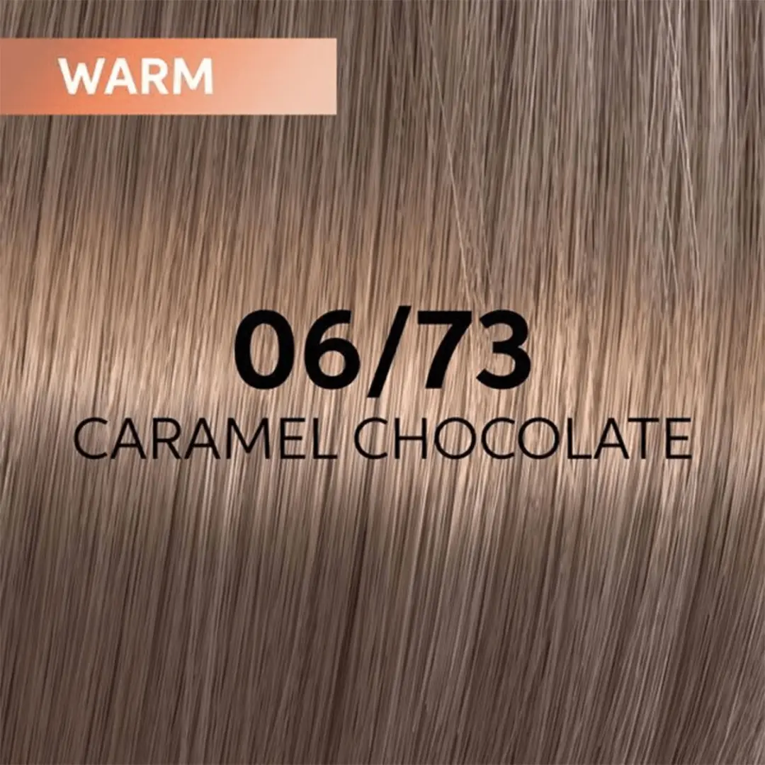 Wella Professionals ShineFinity 06/73 Haarverf 60ml