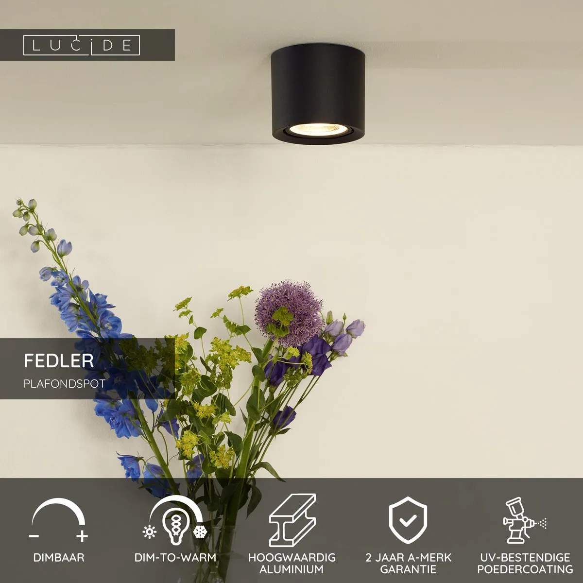Lucide FEDLER Plafondspot Ø12cm - LED Dim to Warm - Zwart