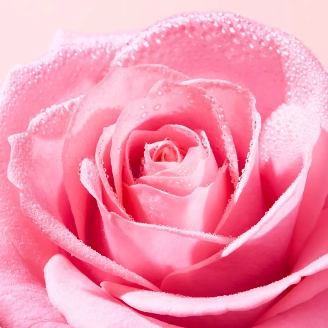 Nuxe Very Rose Soft Exfoliant Gezichtscrub 75ml