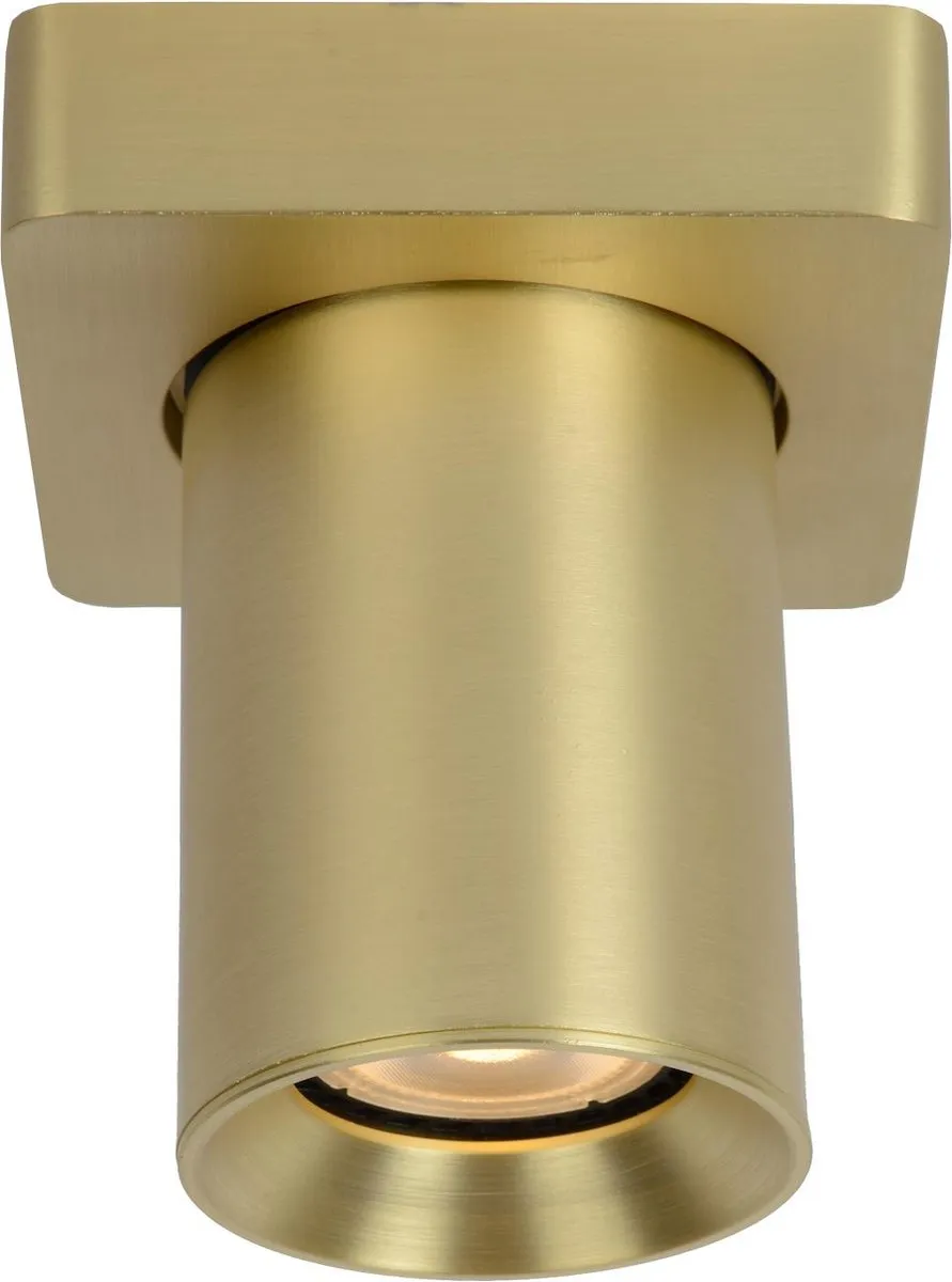 Lucide Nigel Plafondspot LED GU10 5W 2200K/3000K - Mat Goud