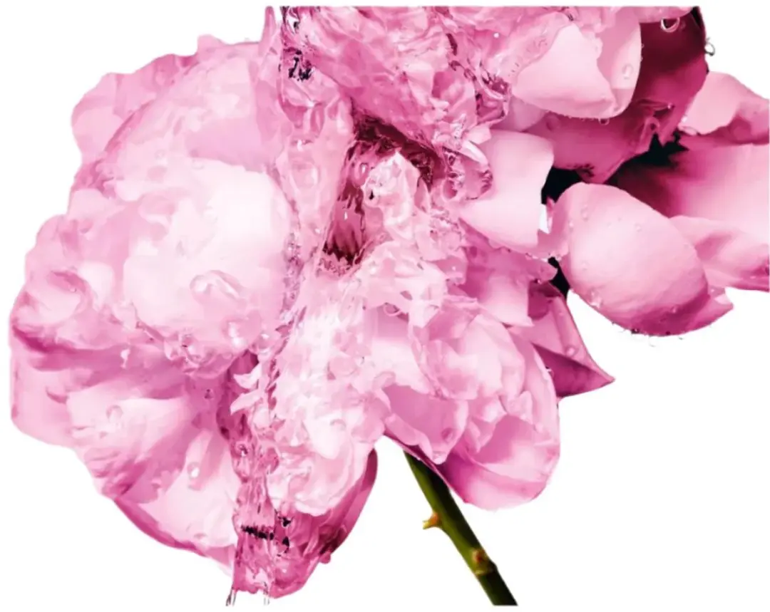 Dior Miss Dior Comforting Body Milk - 175ml