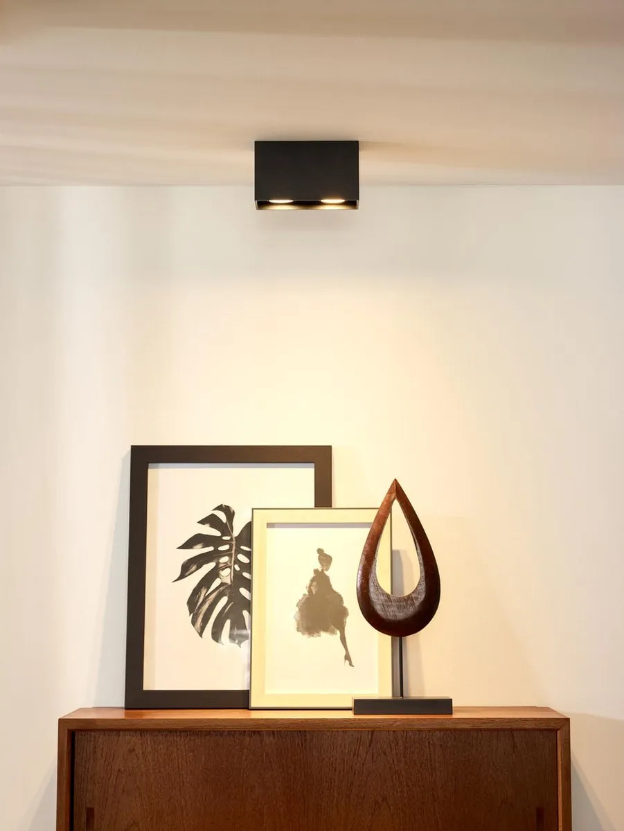 Lucide BODI Plafondspot 2xGU10 - Zwart
