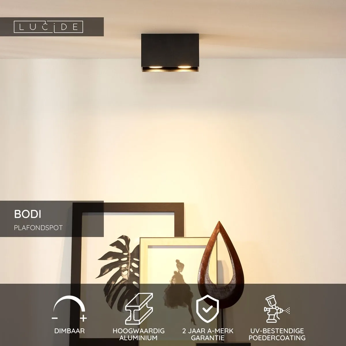 Lucide BODI Plafondspot 2xGU10 - Zwart