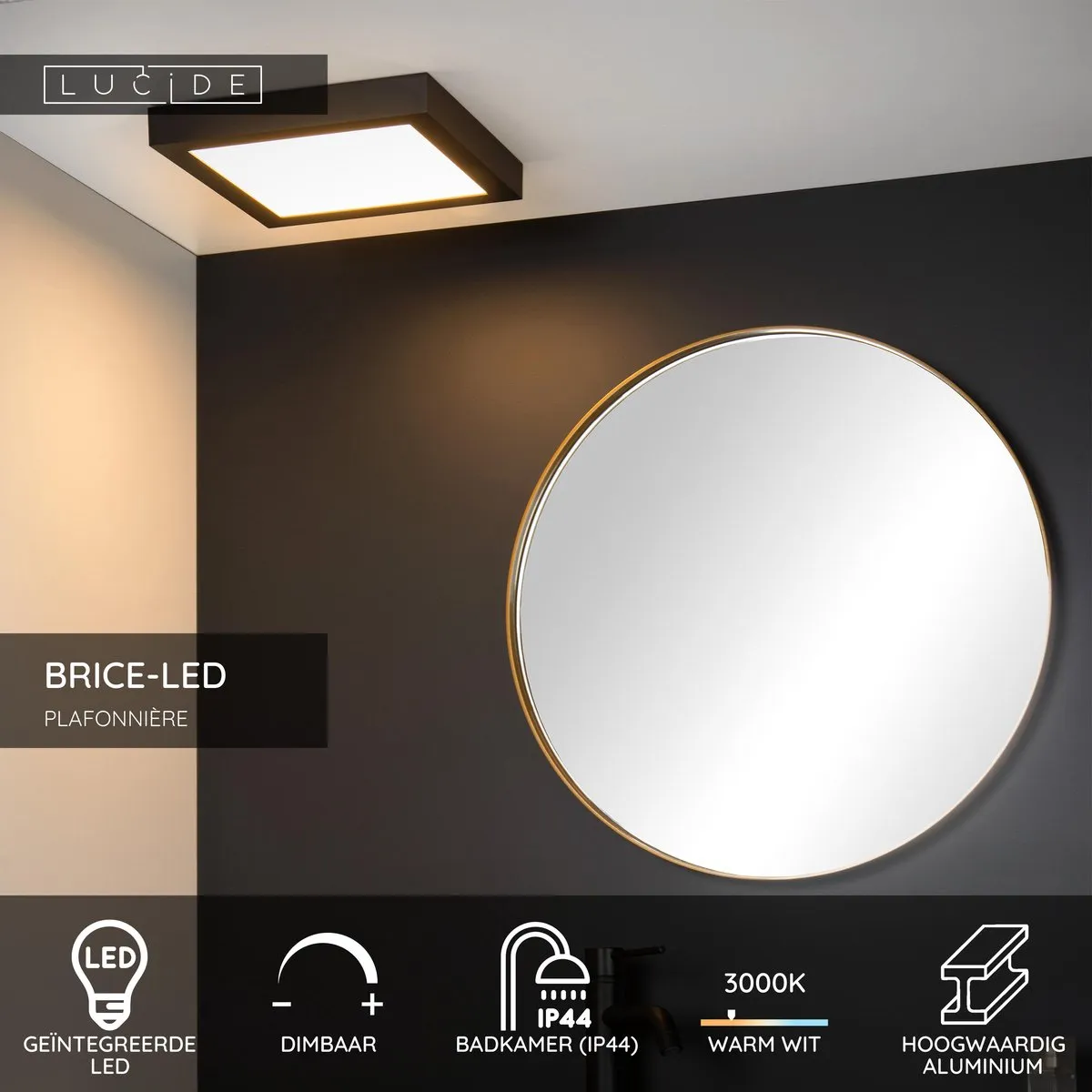 Lucide BRICE-LED Plafondlamp Badkamer - 30W 3000K - Zwart