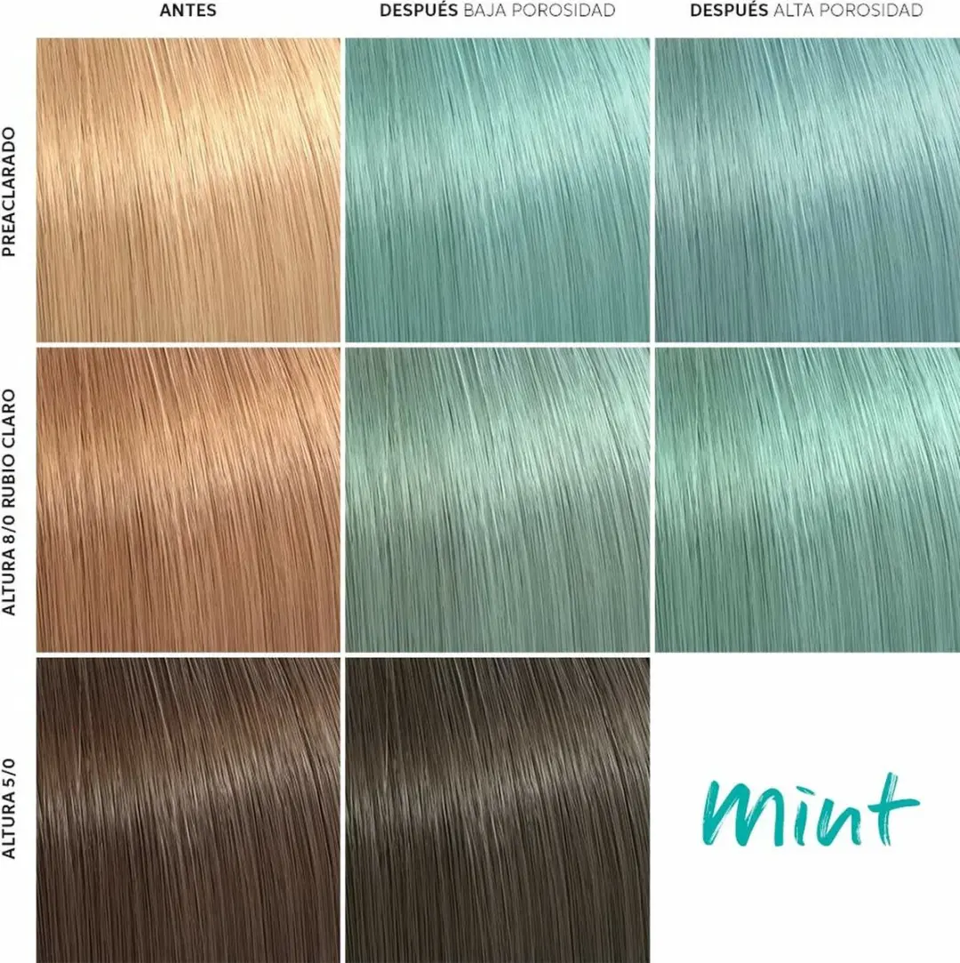 Wella Professionals Color Fresh Mint Tijdelijke Kleur 150ml