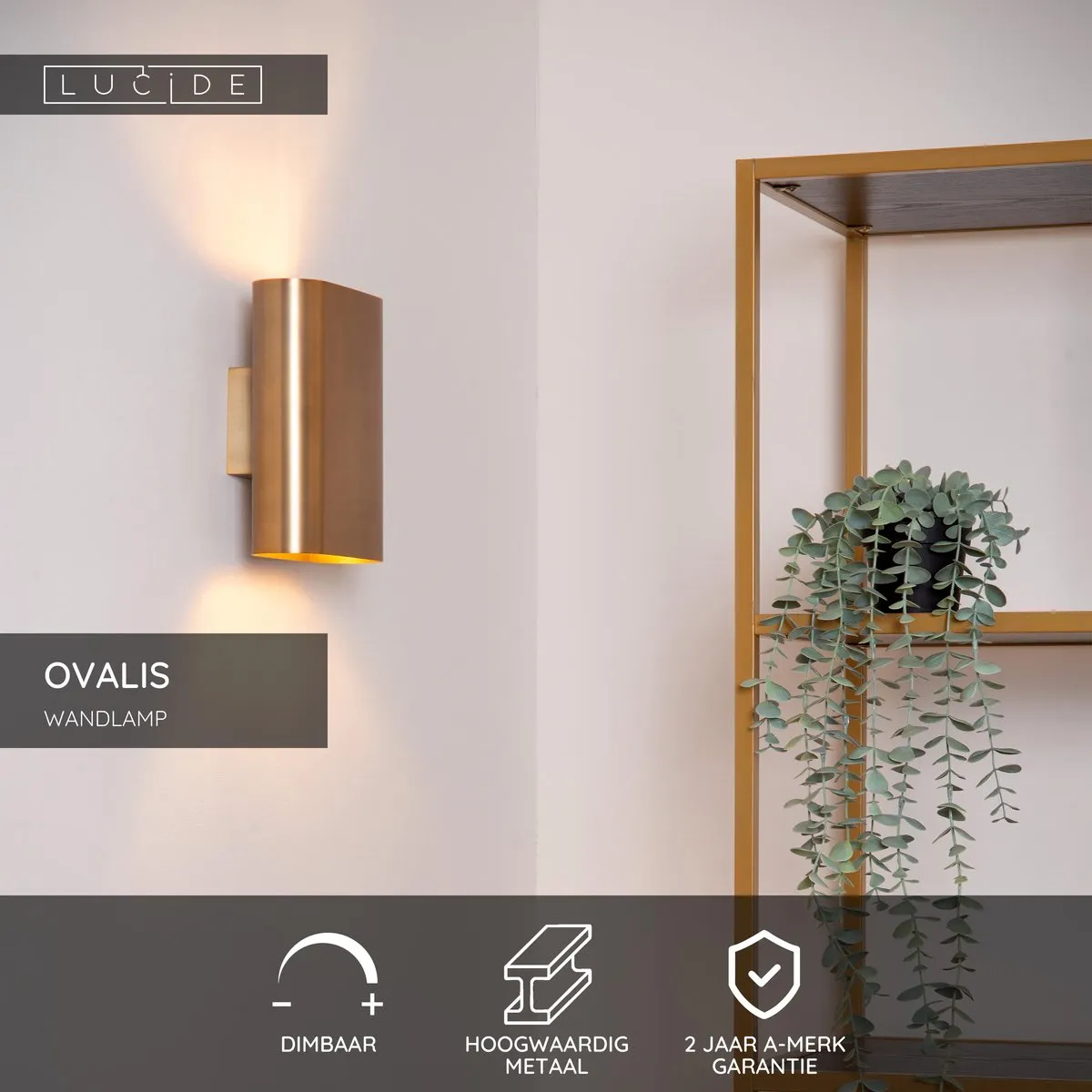 Lucide Ovalis Wandlamp 2xE14 Mat Goud/Messing