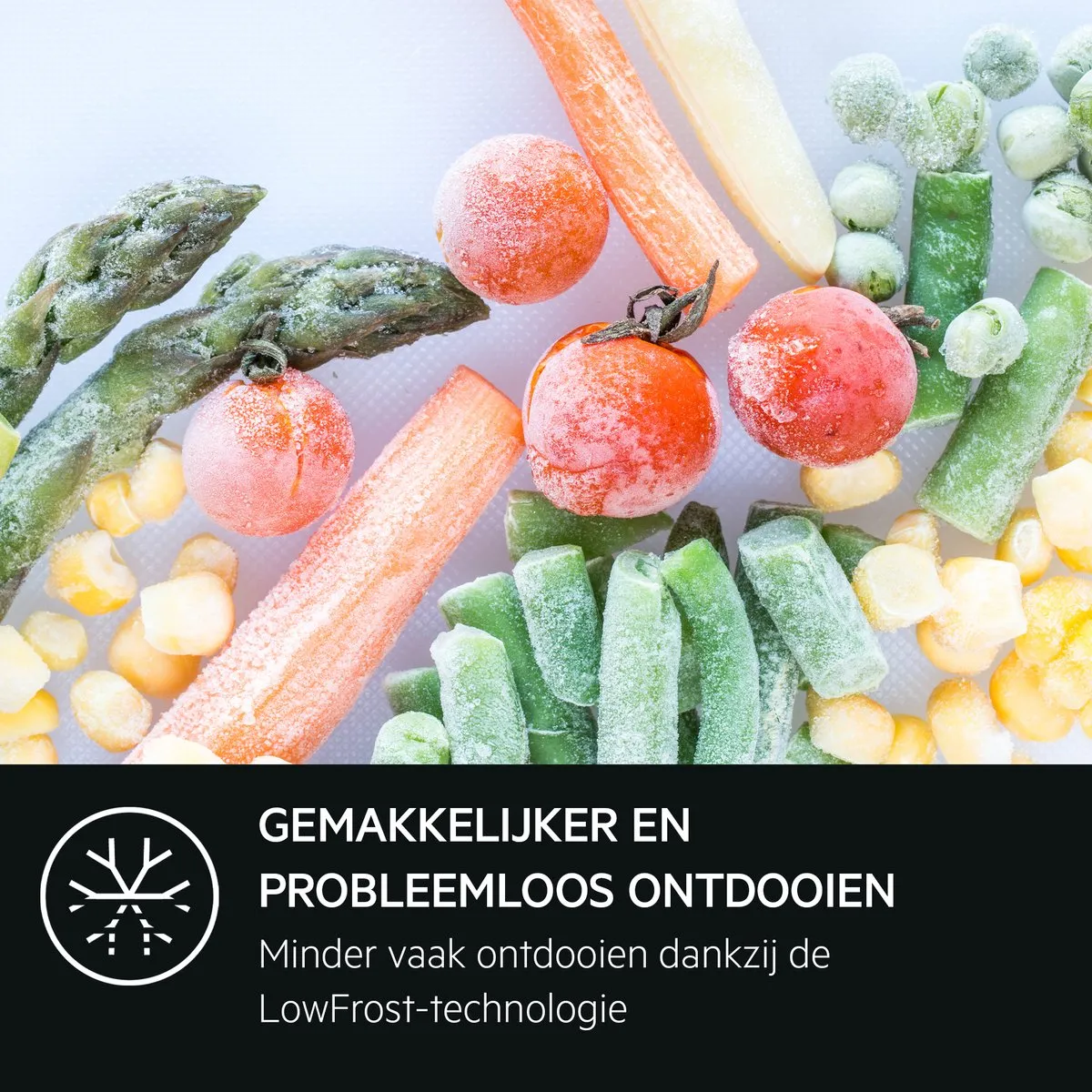 AEG TAB6L88ES Inbouw Vrieskast - 98L - 4 Vakken