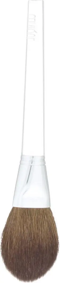 Clinique Powder Foundation Brush