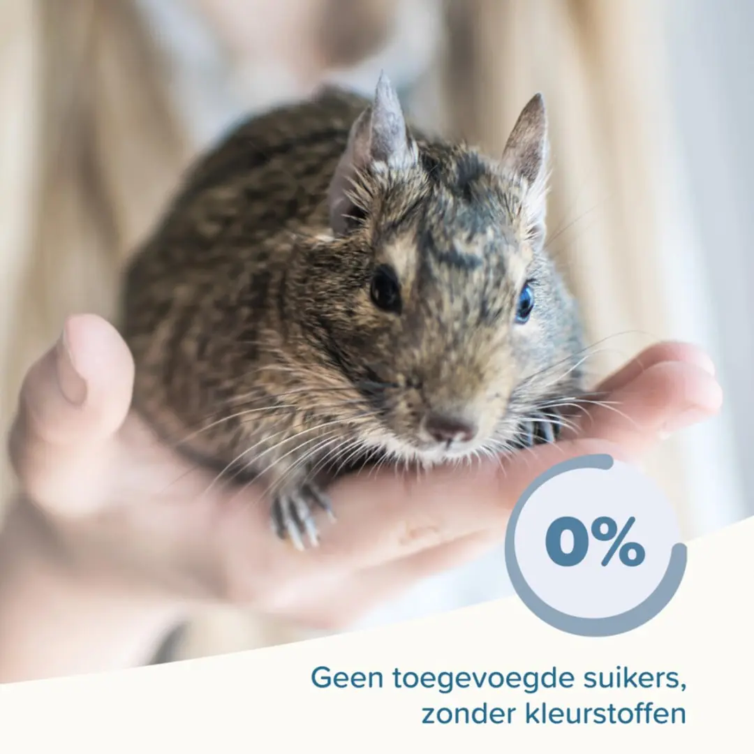 Beaphar Care+ Konijn Senior Anti-oxidanten 1,5kg