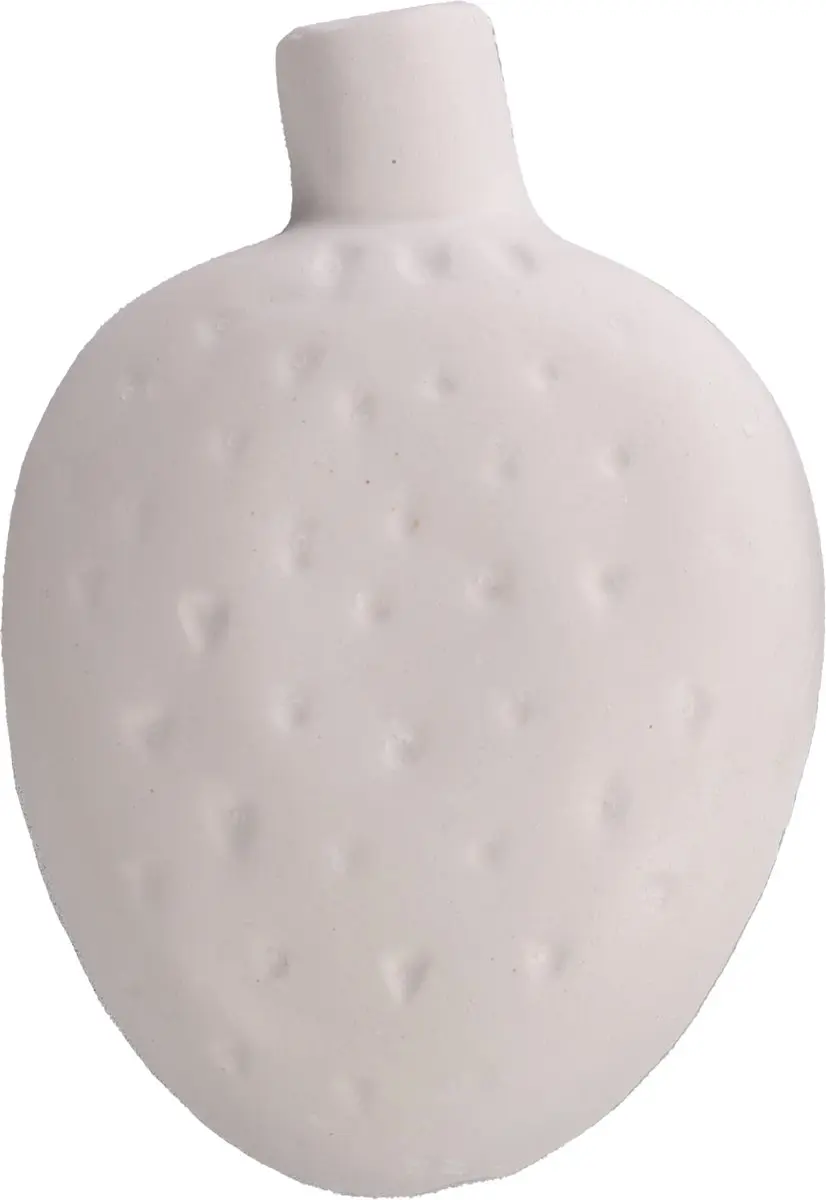 Flamingo Knaagsteen Aardbei 65g