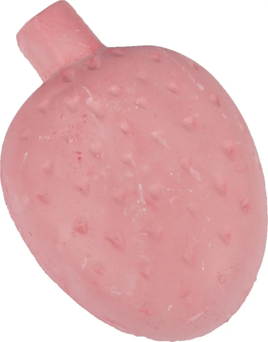 Flamingo Knaagsteen Aardbei 65g