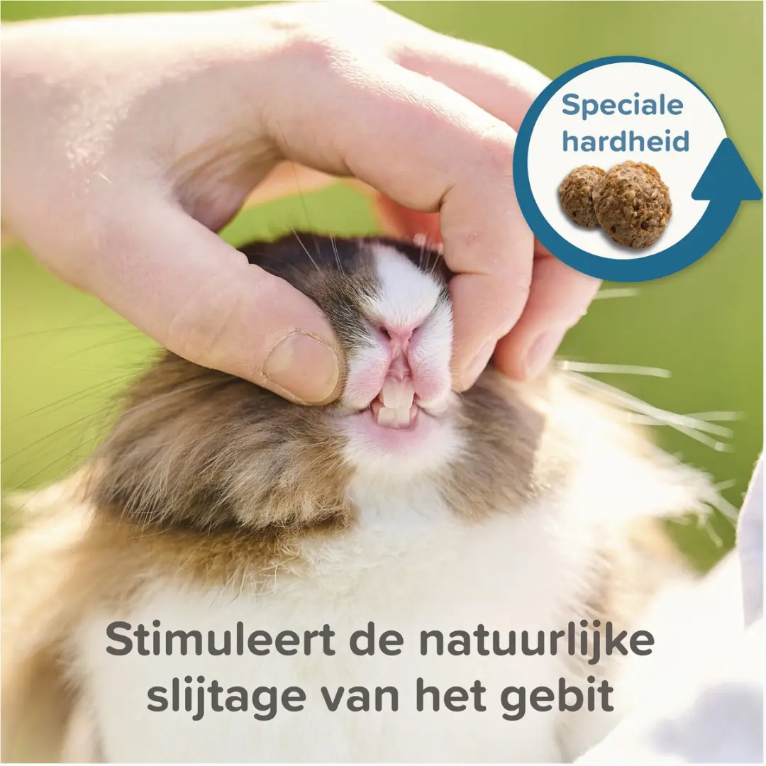 Beaphar Xtravital Care+ Konijnenvoer 1,5 kg