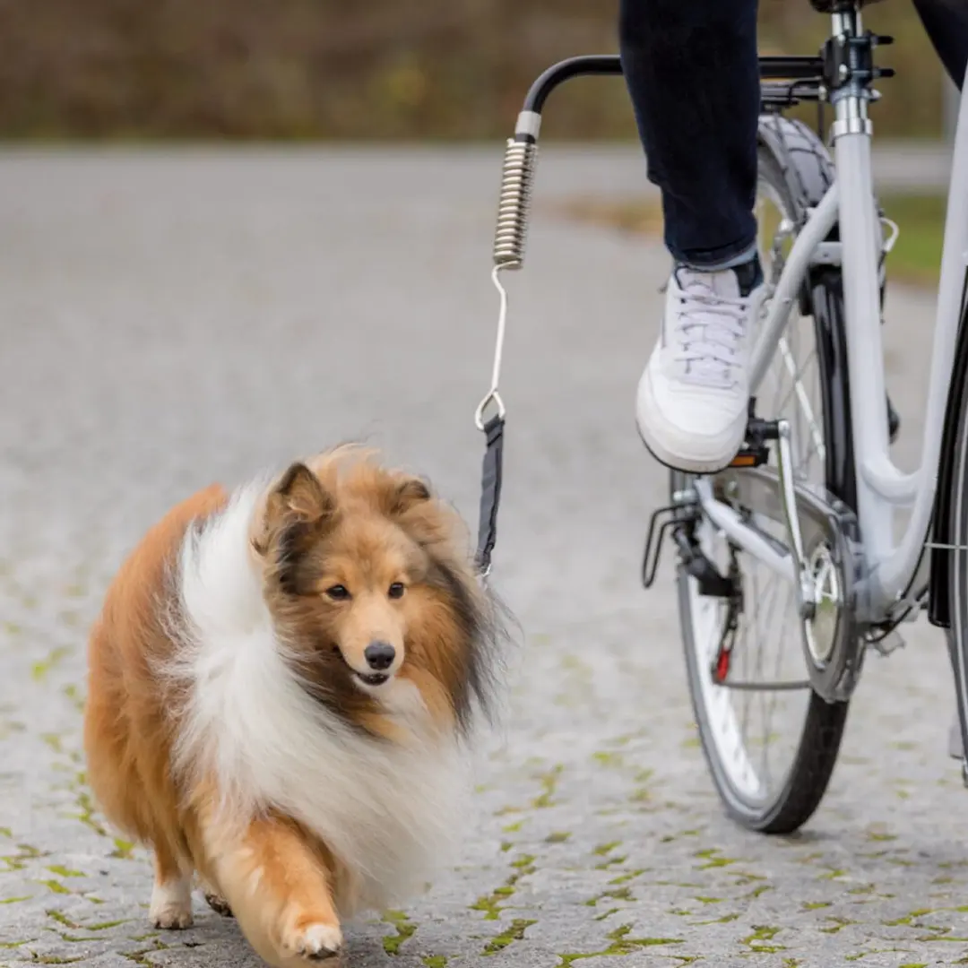 Trixie Fietsbeugel U-Vorm M-XL - Reflecterend Grijs