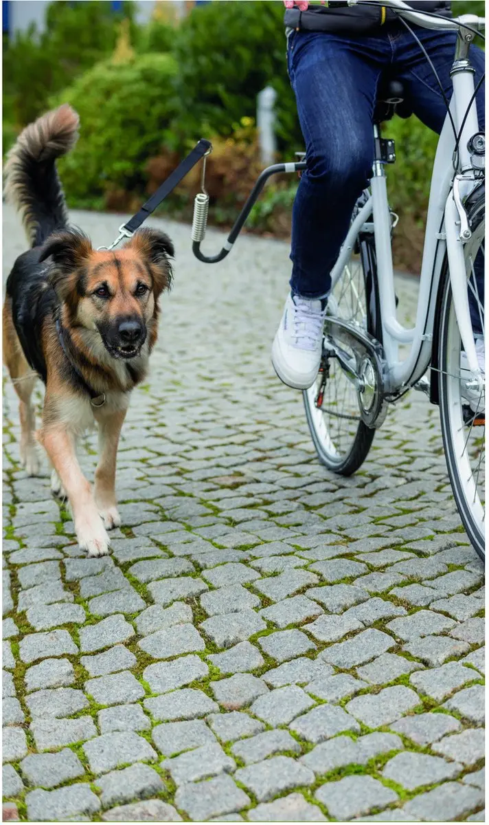Trixie Fietsbeugel U-Vorm M-XL - Reflecterend Grijs