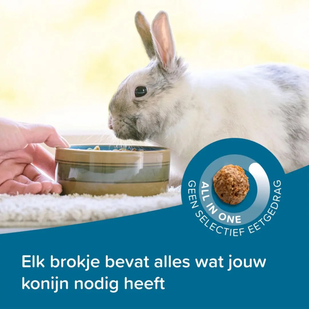 Beaphar Care+ Konijn Adult - 20 kg (2x10kg)