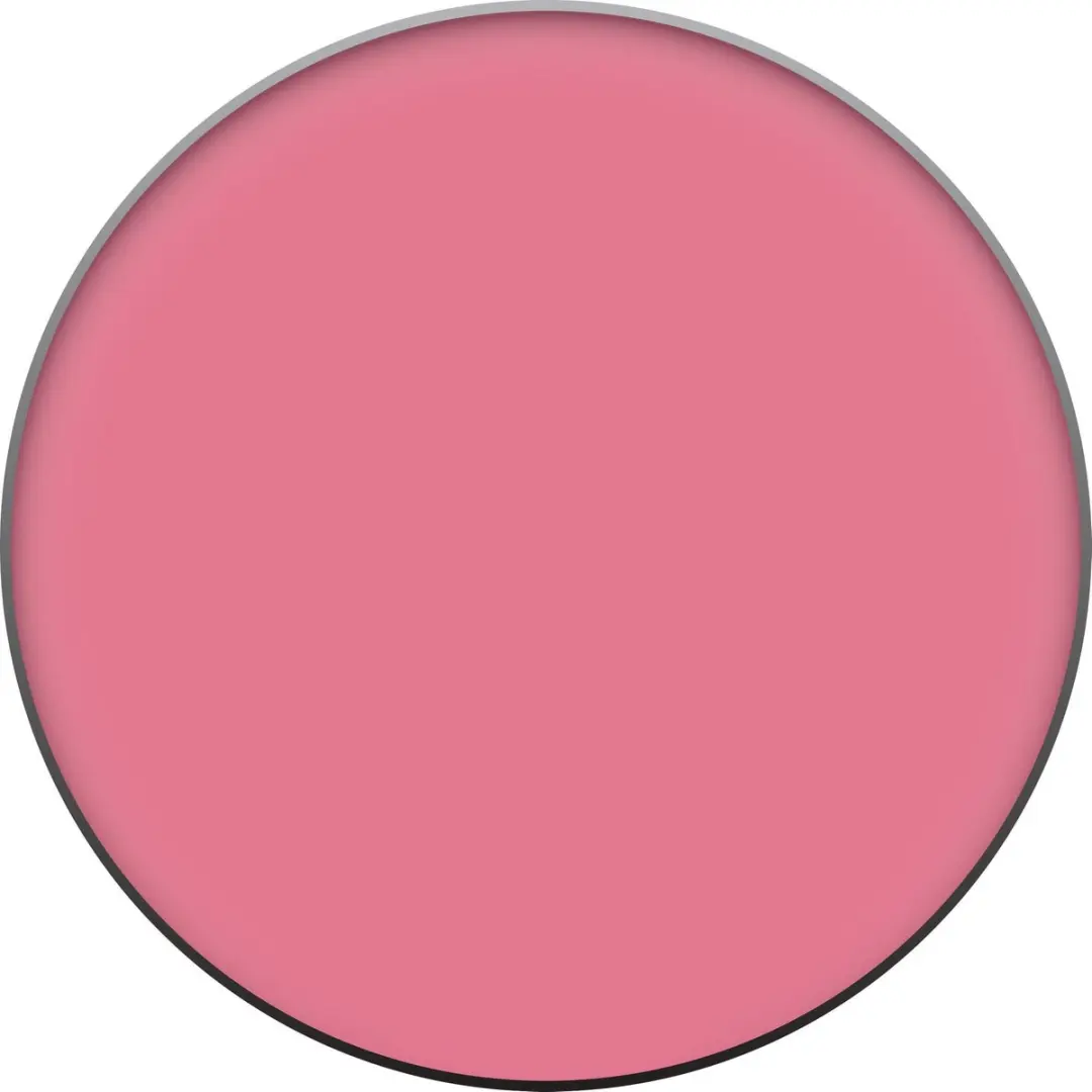 Clinique Blushing Blush Powder - Roze 6g