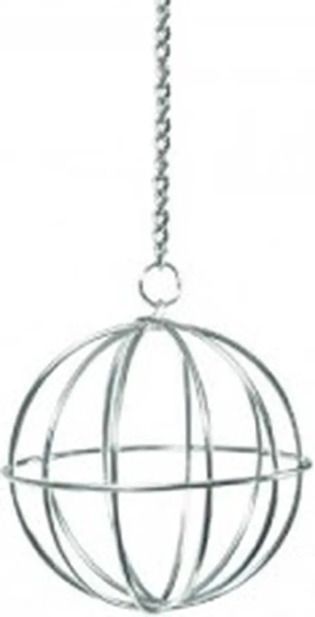Beeztees Voederbal Knaagdier Chroom - Mint - Ø12cm