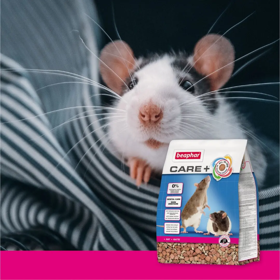 Beaphar Xtravital Care Rattenvoer 1,5 kg - afbeelding 3 van 6