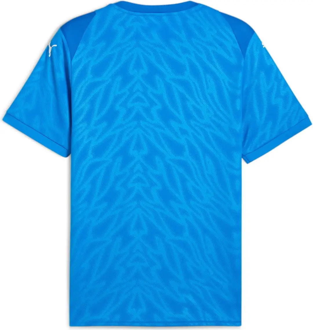 PUMA Teamcup Shirt Heren - Royal - Maat L