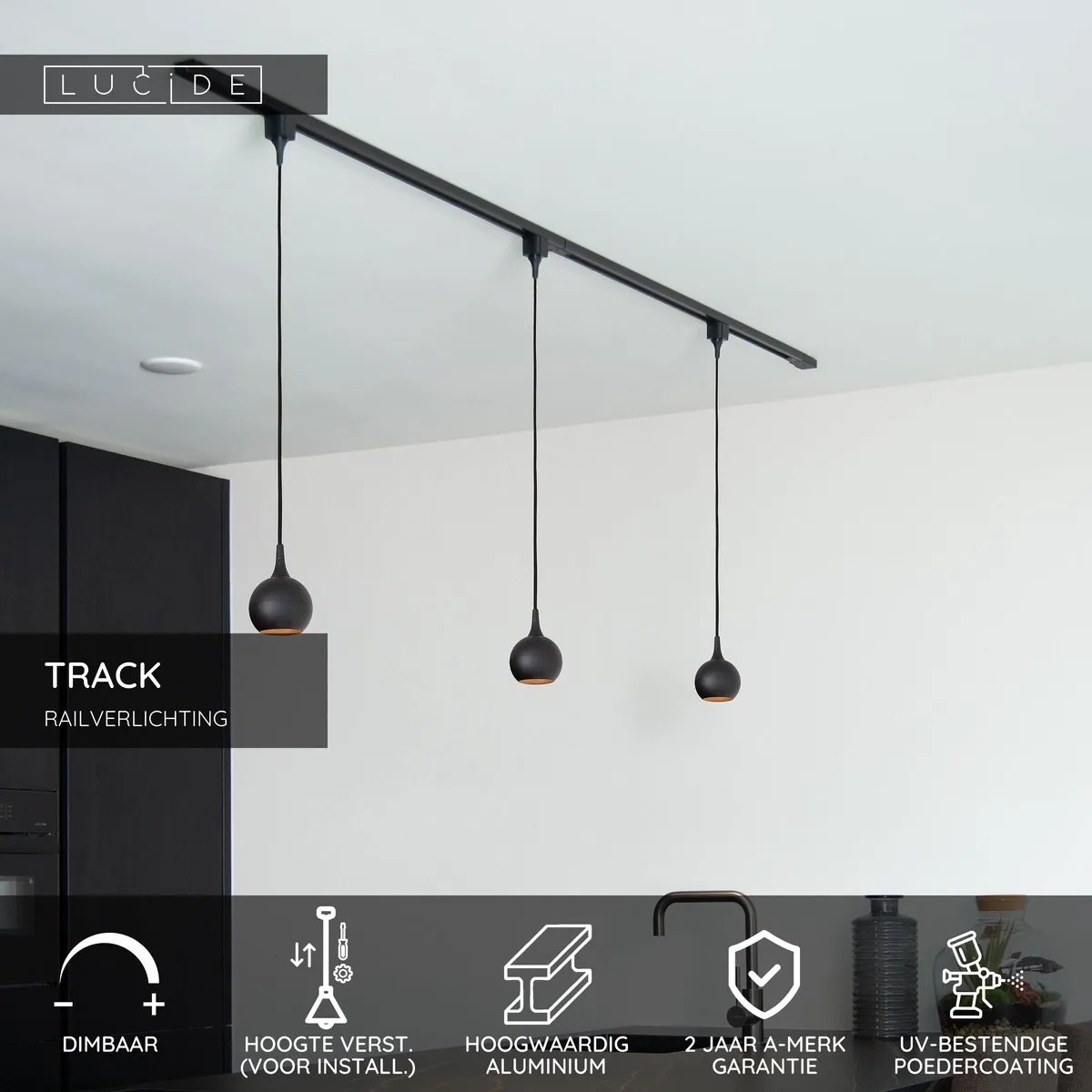 Lucide Track Favorit Hanglamp GU10 - 1 Stuks - Zwart