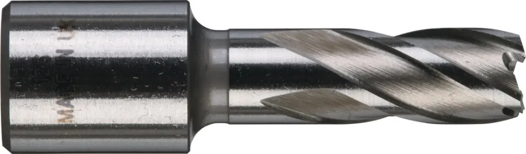 Milwaukee 4932371740 HSS Freeskroon 12x30mm