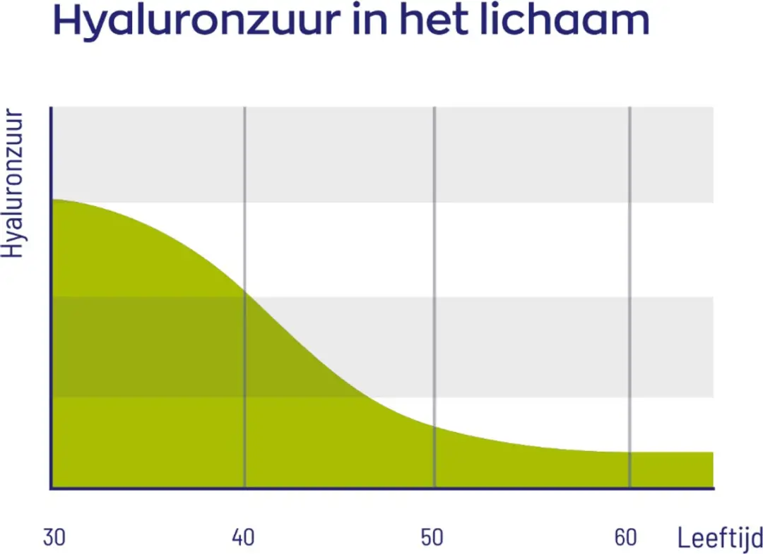 Vitakruid Hyaluronzuur 60 Vegancapsules