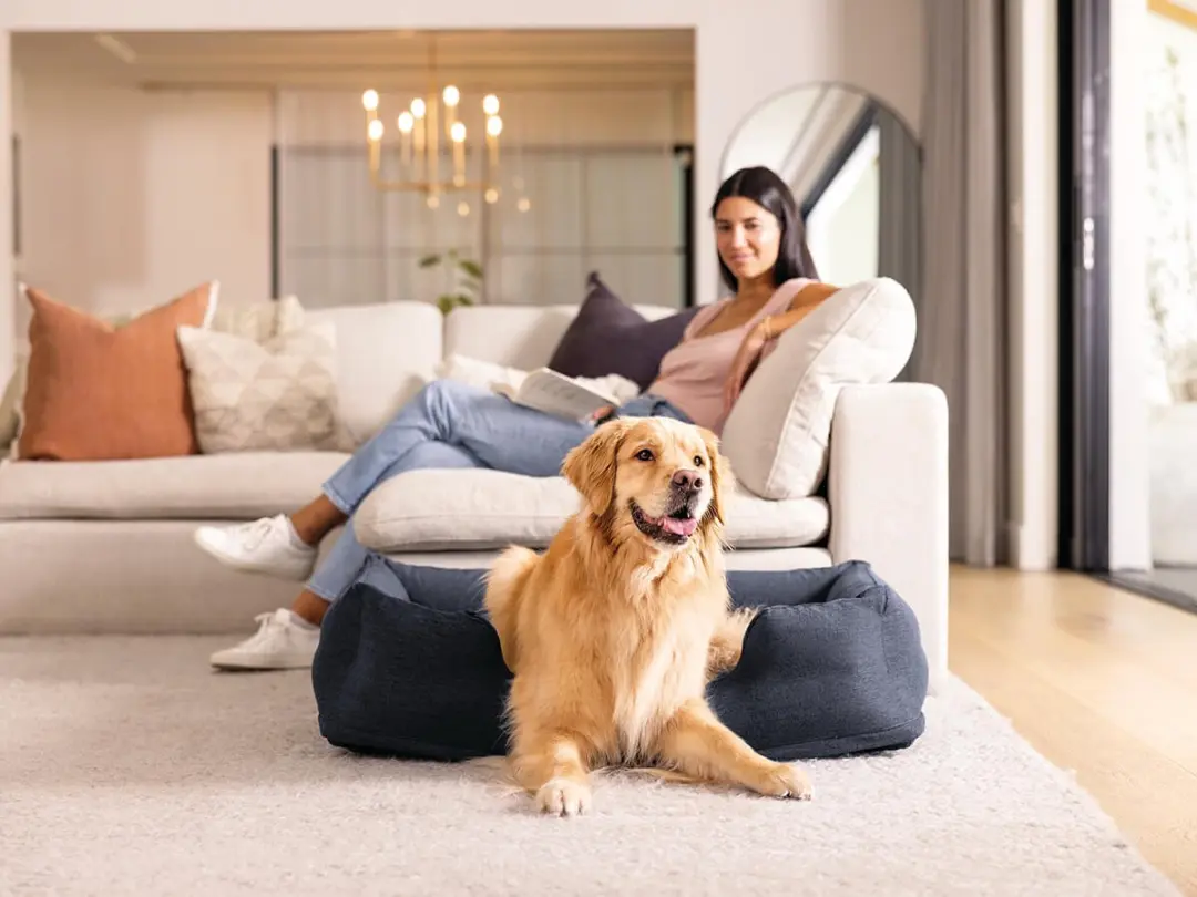 Intex Hondenmand Antraciet M