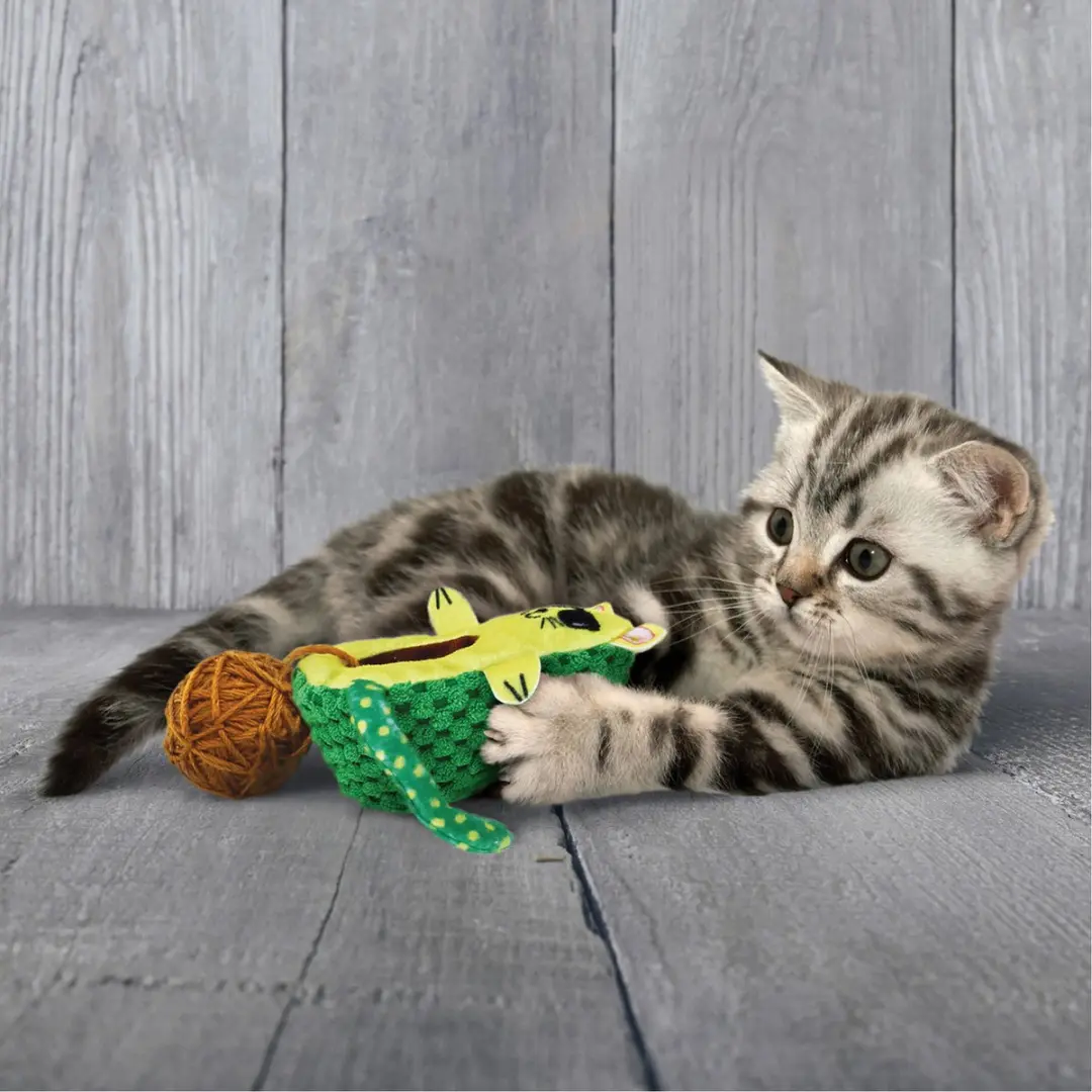 KONG Wrangler AvoCATo - Blauw