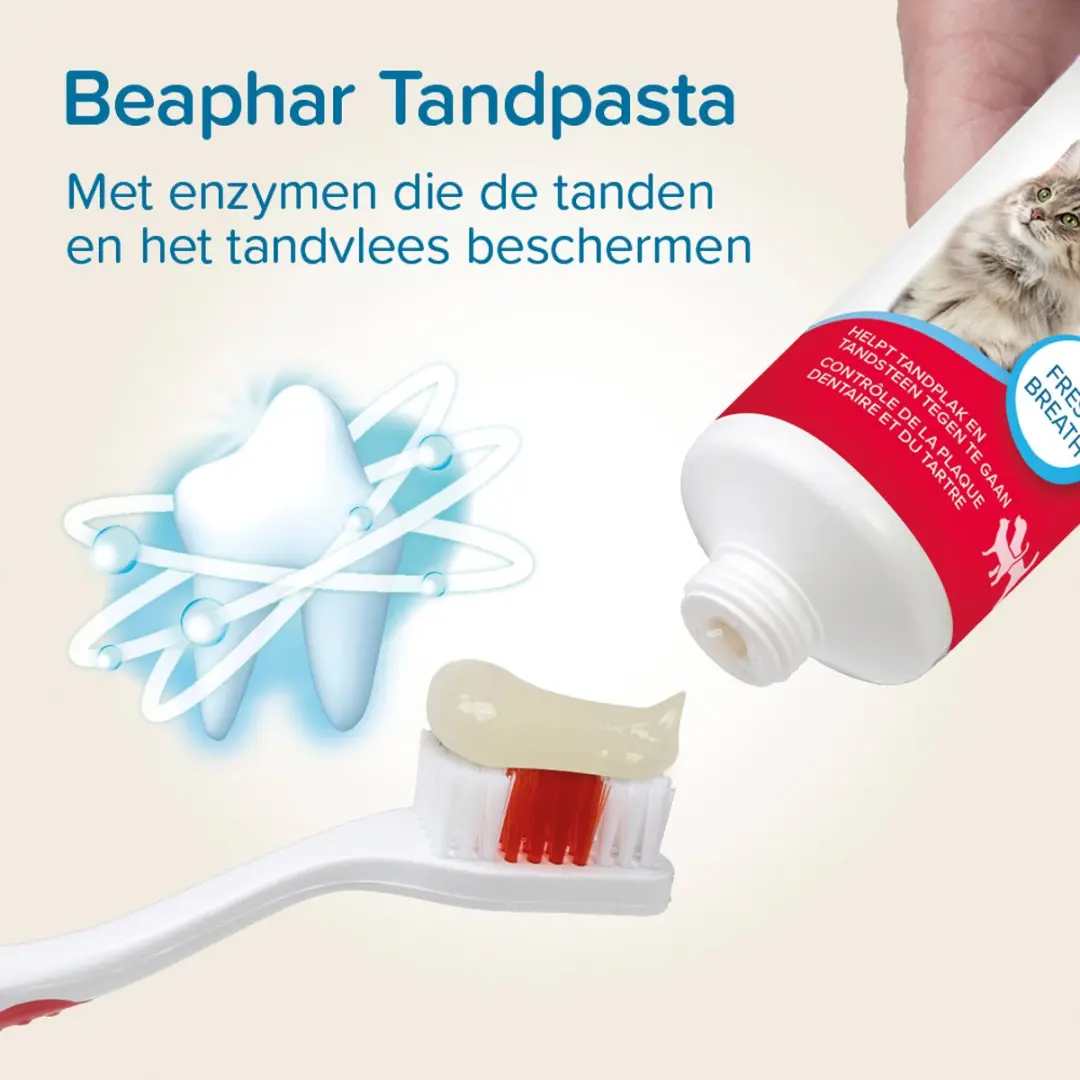 Beaphar Tandpasta 200g