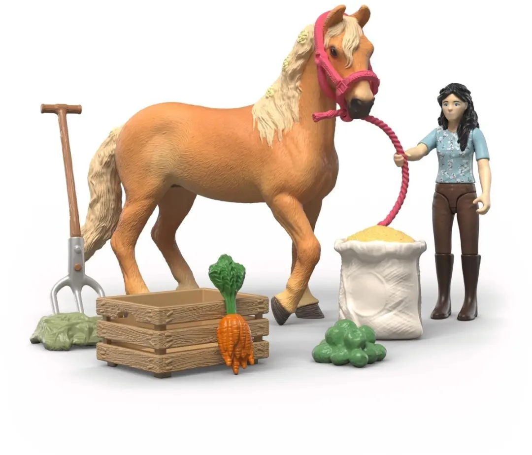 Schleich Emily's Verzorgingsset 42797