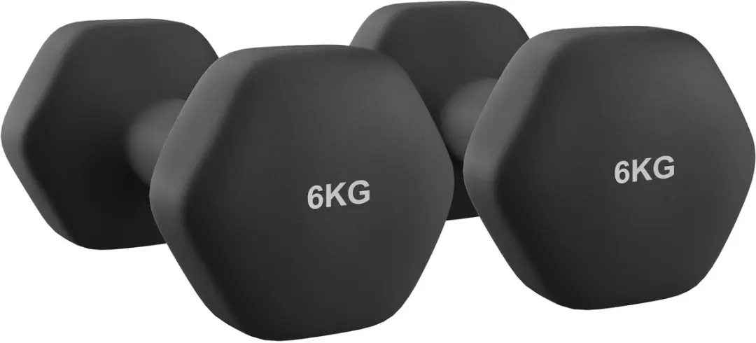 Songmics Hexagon Dumbbells 2x6 kg