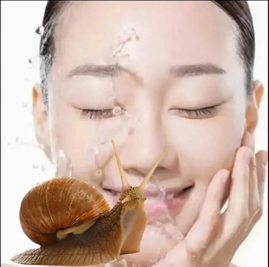 Mitomo Snail & EGF Gezichtsmaskers 10 Stuks - 250ml - Transparant