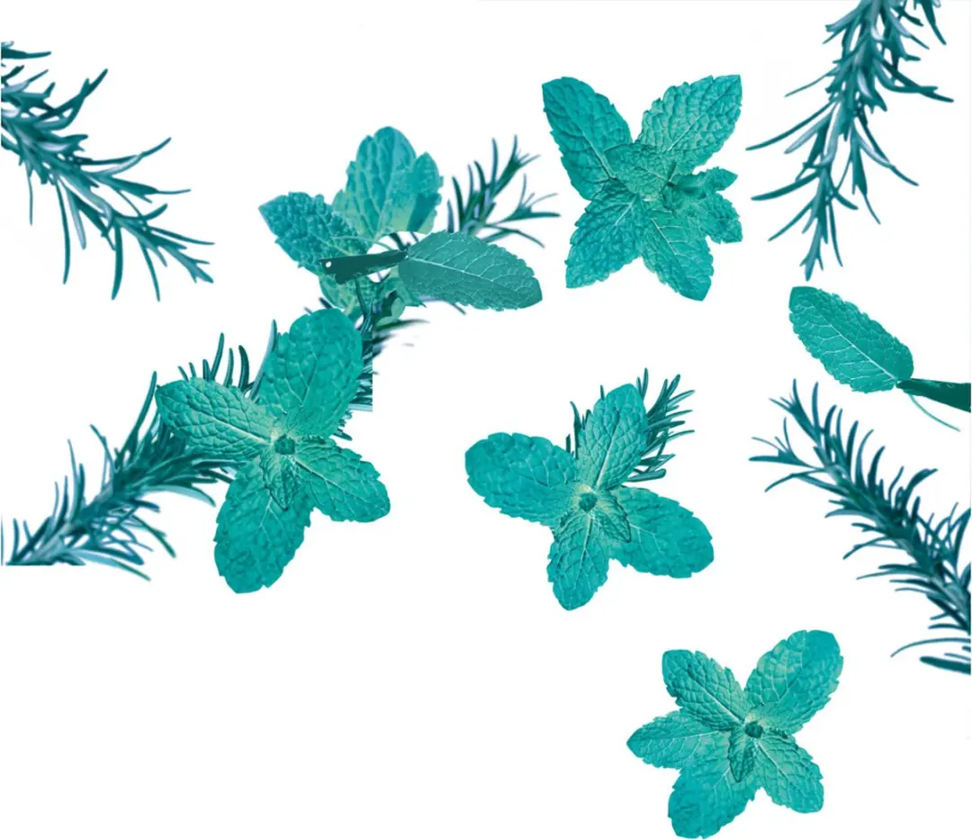 Kneipp Hydraterende Bodycrème Goodbye Stress - 4x200ml