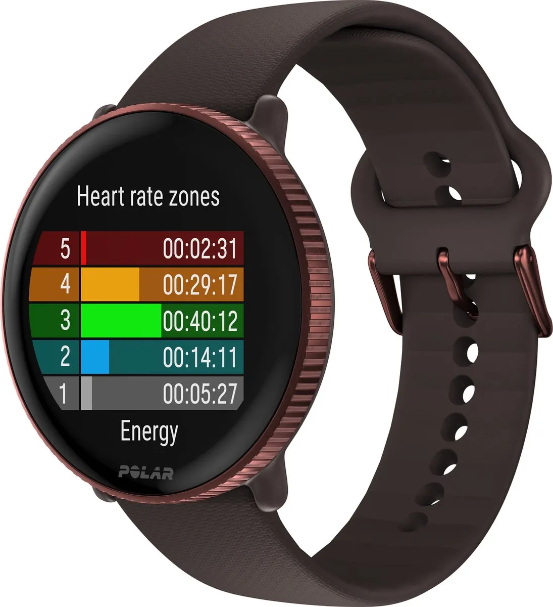 Polar Ignite 3 Smartwatch - 43mm - Bruin
