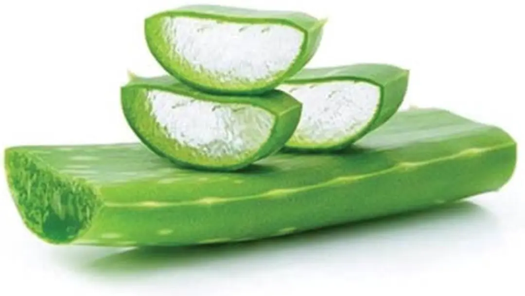 Mühle Scheerzeep Aloe Vera 65g