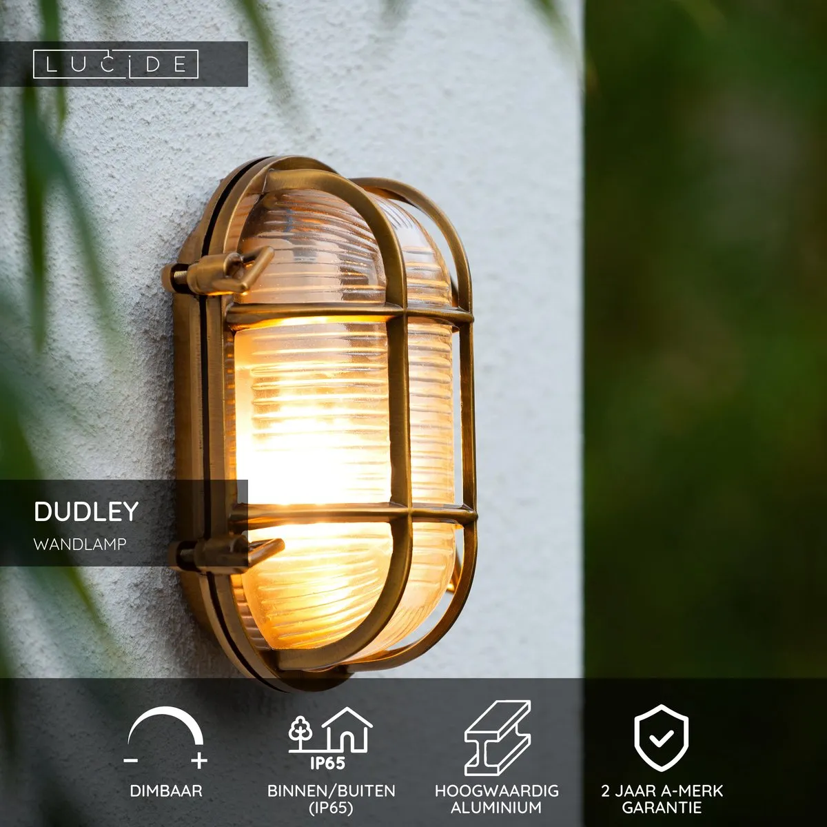 Lucide Dudley Wandlamp E27 IP65 - Mat Goud/Messing