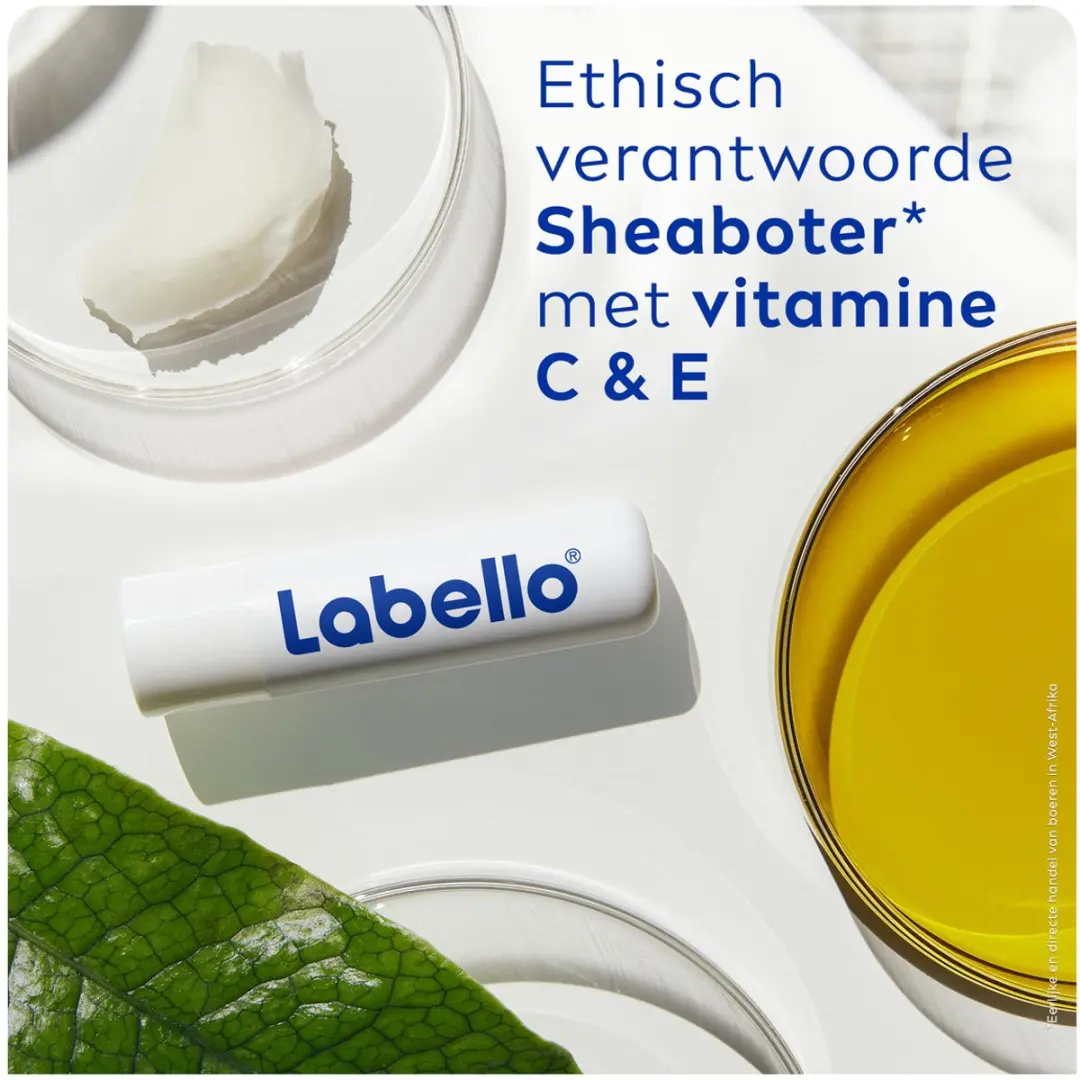 Labello Med Repair Protect+ SPF15 Lippenbalsem - 6x4.8g Transparant