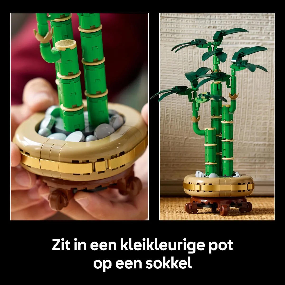 LEGO Botanicals Bamboe 10344 - 325 Stukken - Meerkleurig - afbeelding 6 van 6