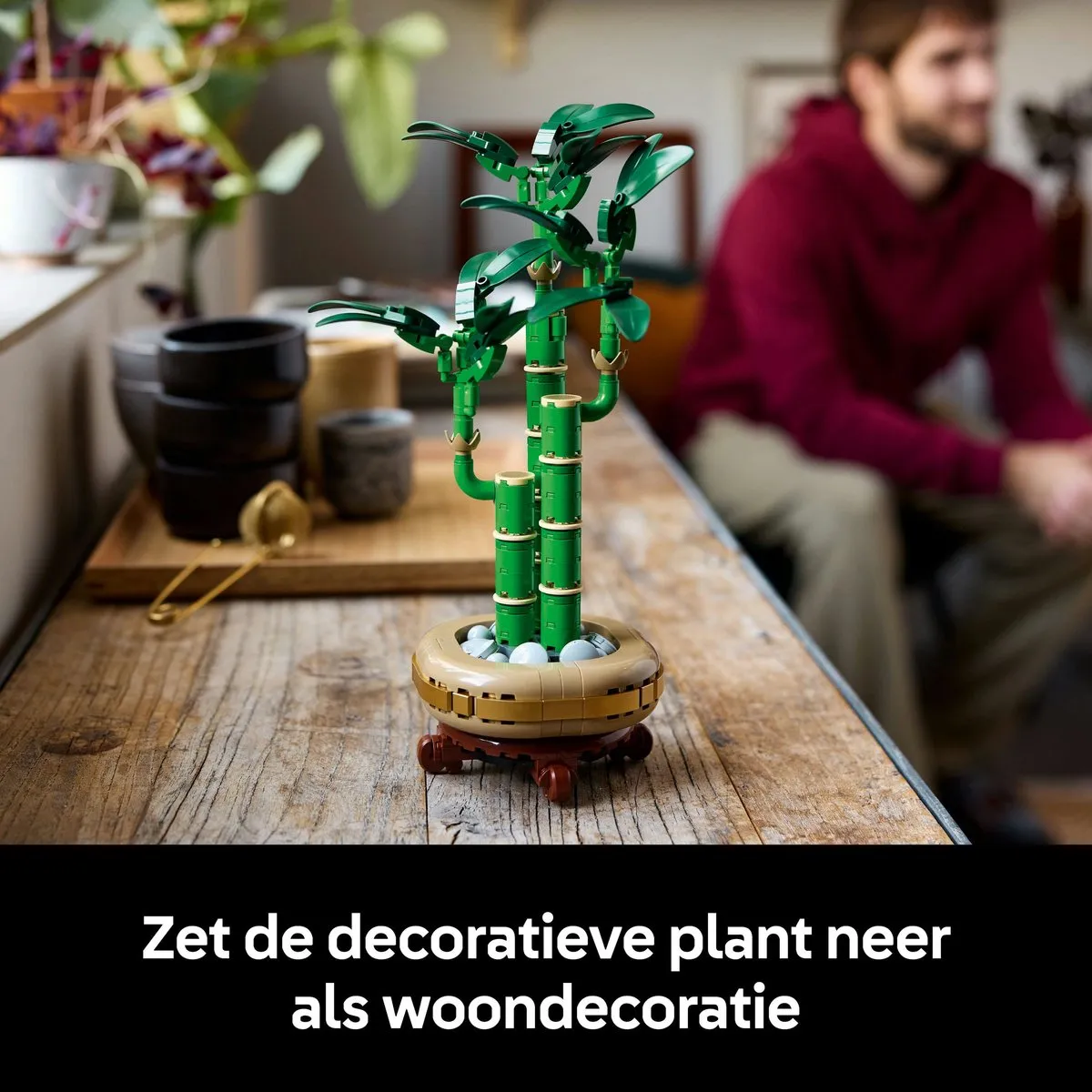 LEGO Botanicals Bamboe 10344 - 325 Stukken - Meerkleurig