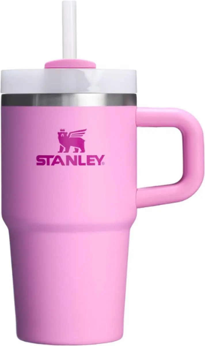 Stanley Quencher H2.0 Tumbler 20 oz